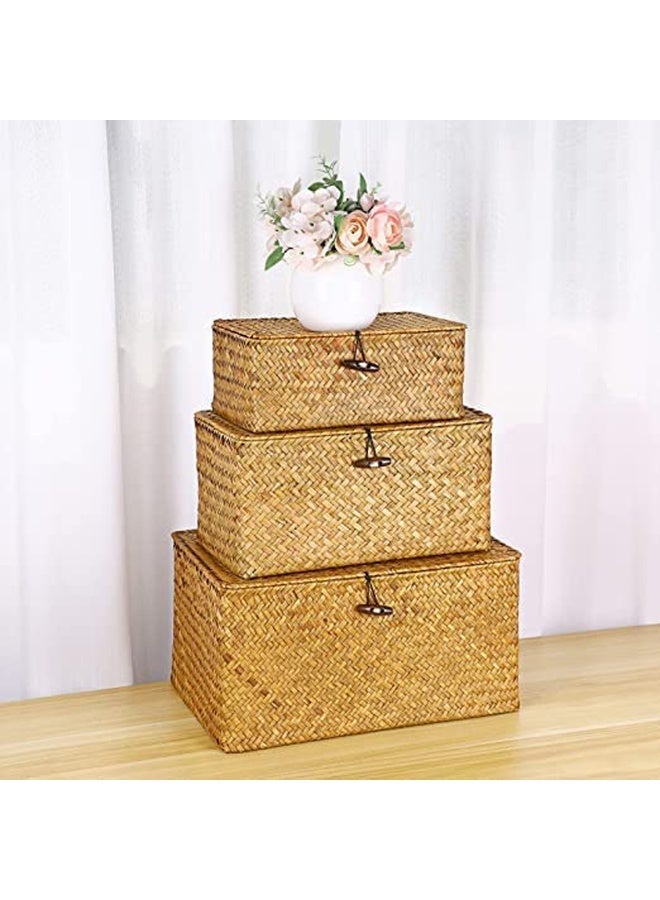 Eco-Friendly Wicker Storage Bins with Lid – Set of 3 Rectangular Rattan Baskets for Stylish Home Organization - Image 1