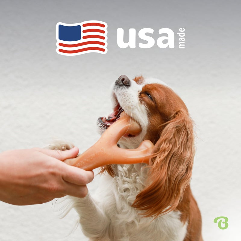 Benebone Wishbone Durable Dog Chew Toy for Aggressive Chewers, Real Peanut, Made in USA, Giant - Image 5