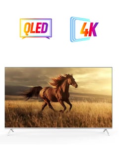 GENERAL SUPREME General Supreme 65-inch QLED screen, Ultra HD, Google TV, 120 Hz (DLG) 