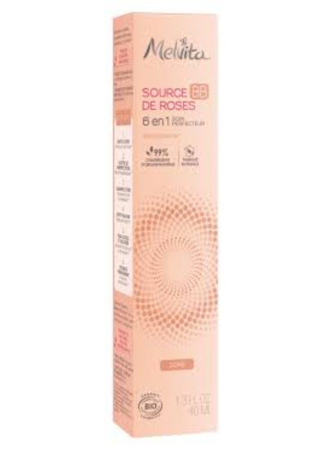 Melvita Source De Roses BB Cream 6-In-1 Perfecting Cream Golden Tone 40ml - Image 3