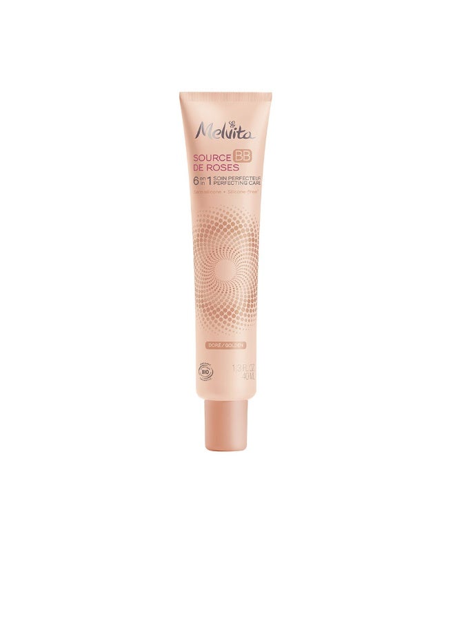 Melvita Source De Roses BB Cream 6-In-1 Perfecting Cream Golden Tone 40ml - Image 1