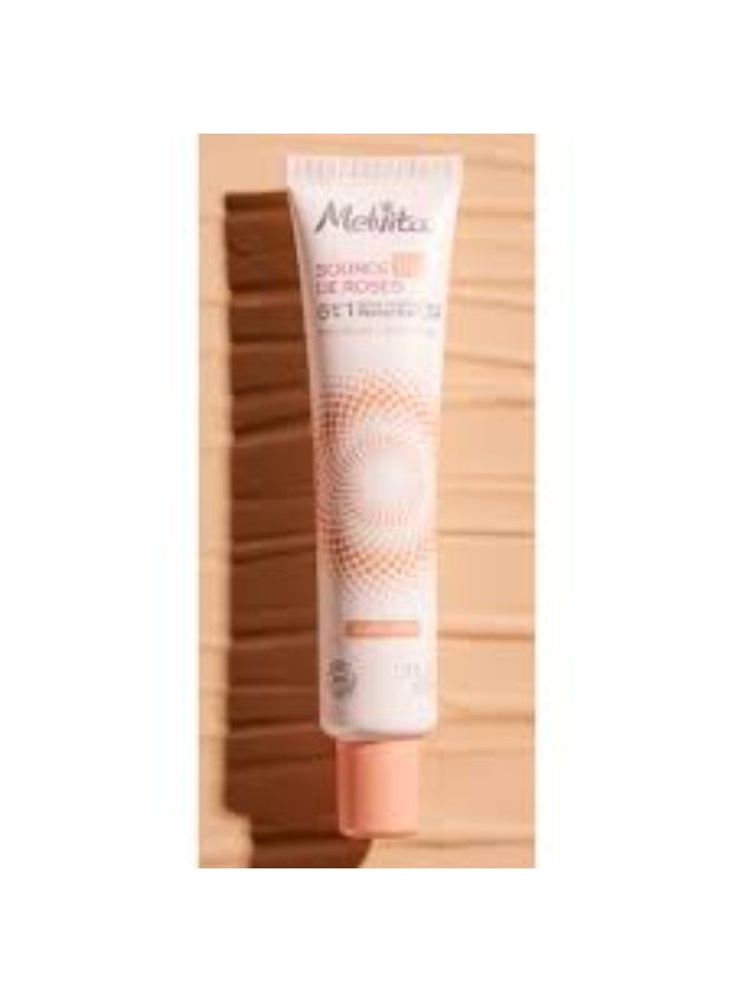 Melvita Source De Roses BB Cream 6-In-1 Perfecting Cream Golden Tone 40ml - Image 4