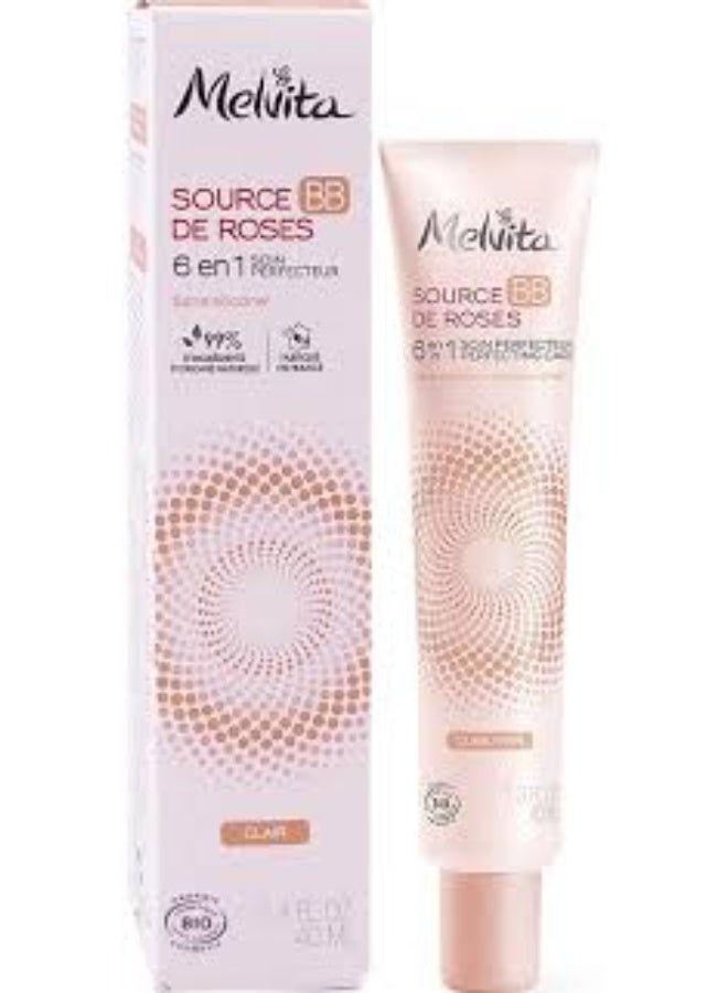 Melvita Source De Roses BB Cream 6-In-1 Perfecting Cream Golden Tone 40ml - Image 2