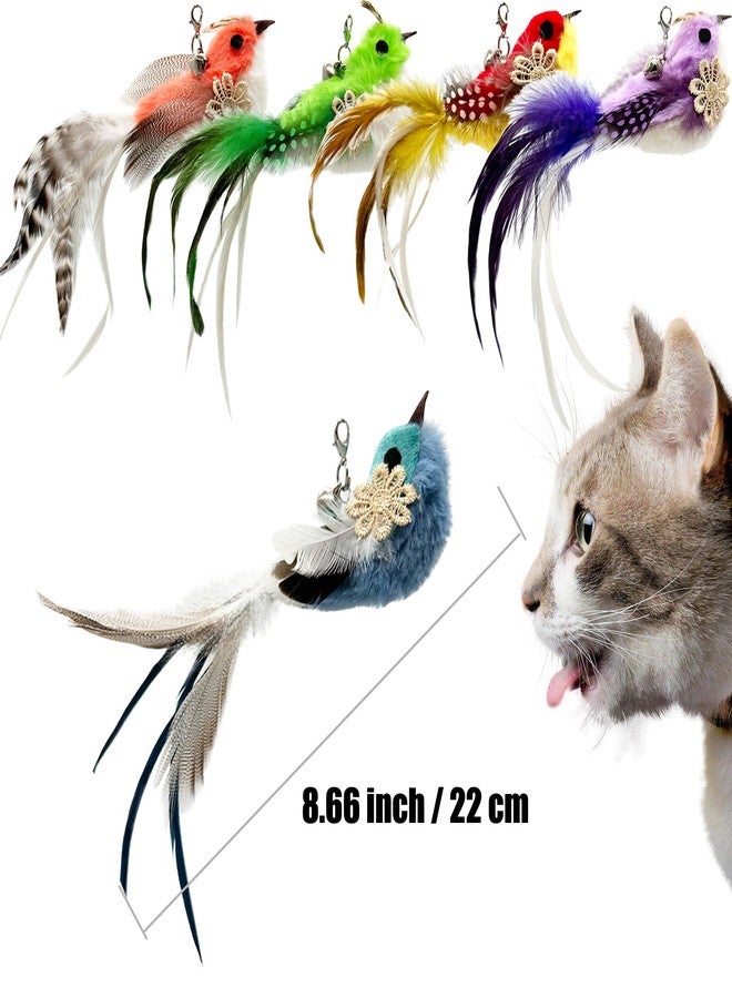 CATENEED Cat Feather Toys Refill, 5 Pieces Cat Wand Attachments Feathers Bird Toy for Indoor Cats - Image 3