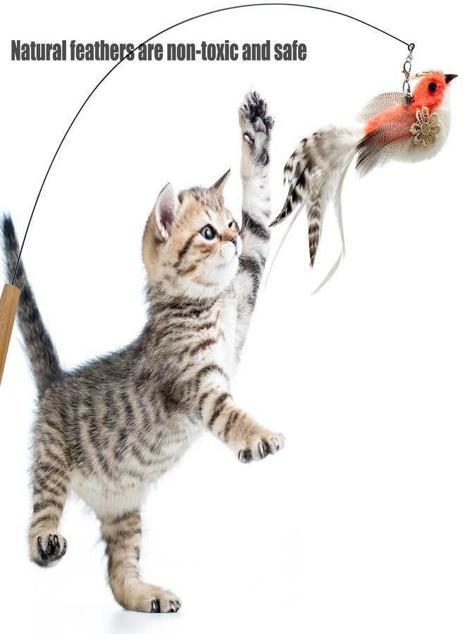 CATENEED Cat Feather Toys Refill, 5 Pieces Cat Wand Attachments Feathers Bird Toy for Indoor Cats - Image 2