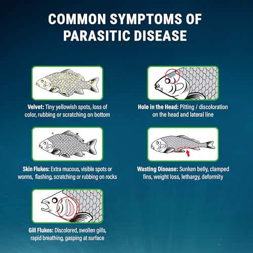 Fritz Aquatics ParaCleanse Provides Fast Relief from Parasitic Diseases (20-Count) - Image 4