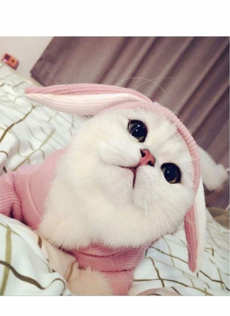 Pet Hoodie Cat Rabbit Outfit with Bunny Ears Cute Sweatshirt Spring and Autumn Puppy Knitted Sweater Kitty Soft Knitwear - Image 5