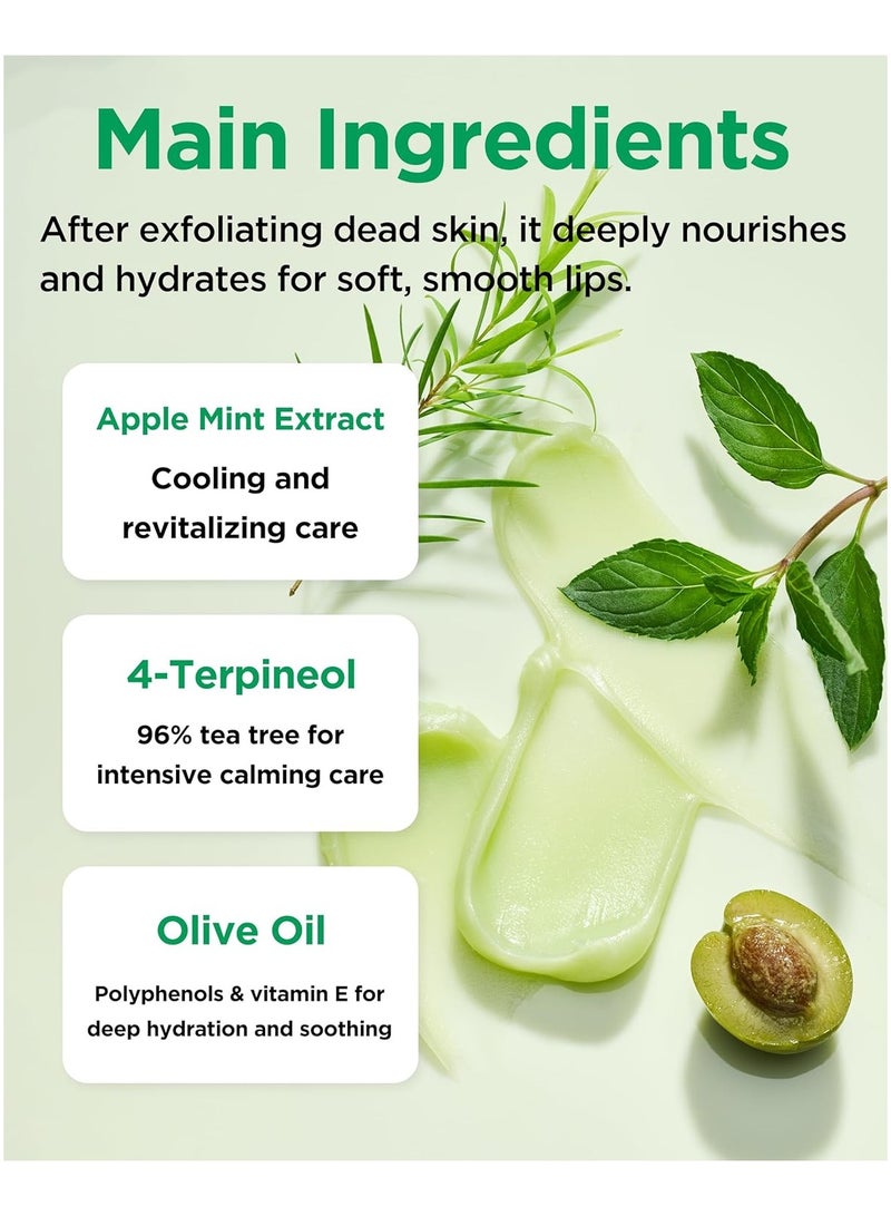 Tocobo Mint Cooling Lip Mask – Korean Overnight Lip Treatment with Apple Mint, Tea Tree & Olive Oil – Soothing, Hydrating, Refreshing Balm – Soft Melting Texture, Fresh Herb Scent, 0.5 oz. - Image 5
