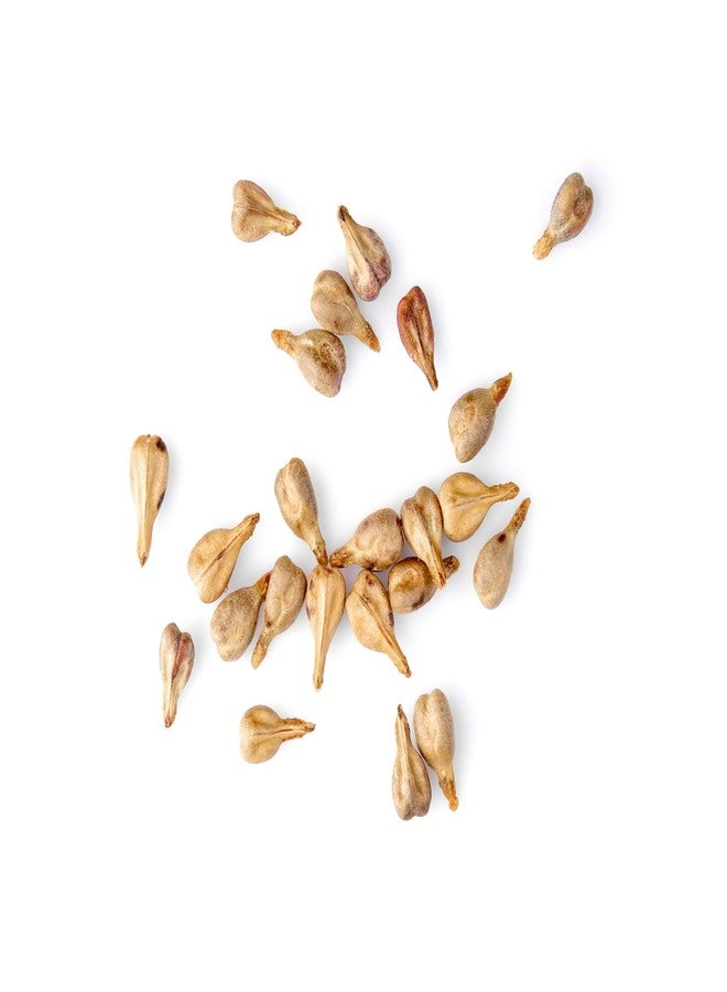 ميرلوت زيت بذور العنب ميرلو - Image 3