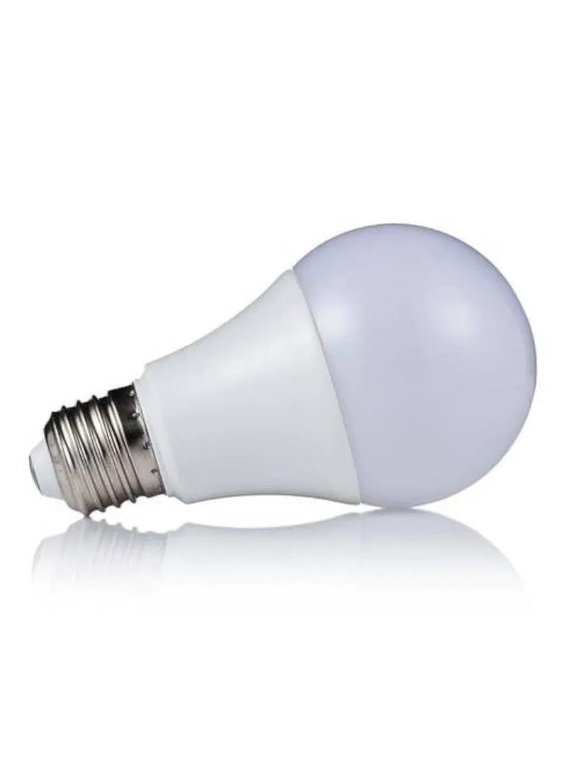 10W Sunshine White Light Bulb