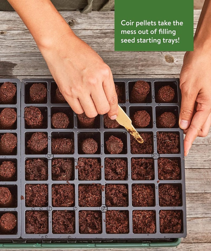 Burpee حبوب بدء البذور من بربى 72 قطعة من جوز الهند 225 مم - Image 5