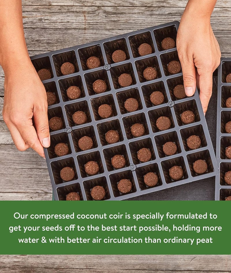 Burpee حبوب بدء البذور من بربى 72 قطعة من جوز الهند 225 مم - Image 3