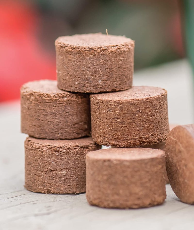 Burpee حبوب بدء البذور من بربى 72 قطعة من جوز الهند 225 مم - Image 1