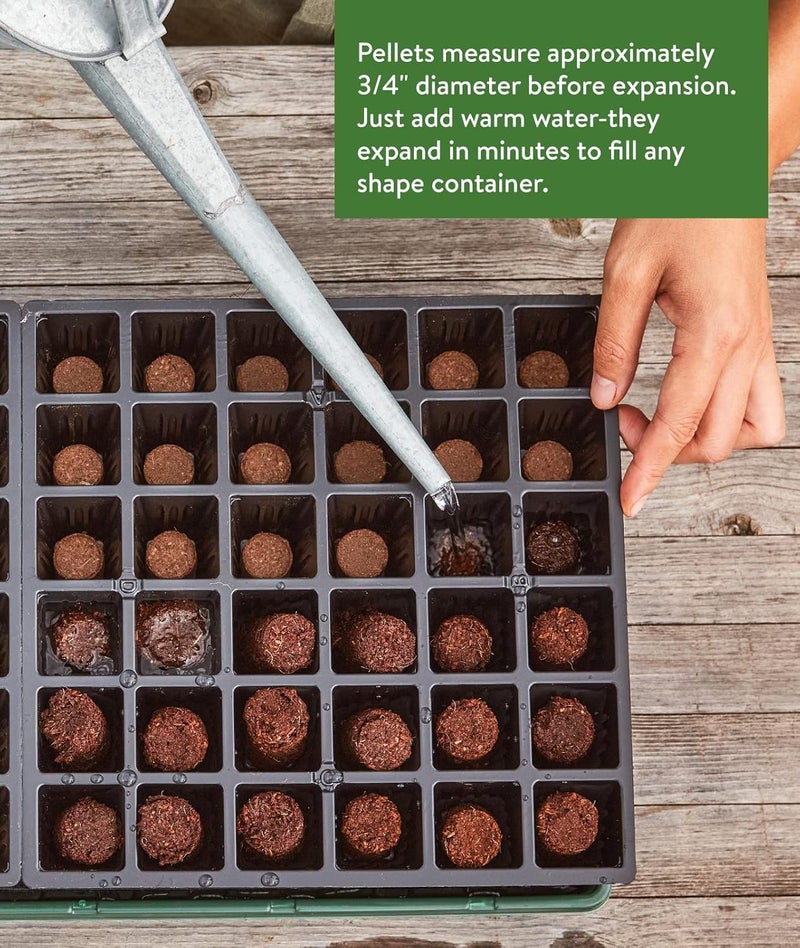 Burpee حبوب بدء البذور من بربى 72 قطعة من جوز الهند 225 مم - Image 4