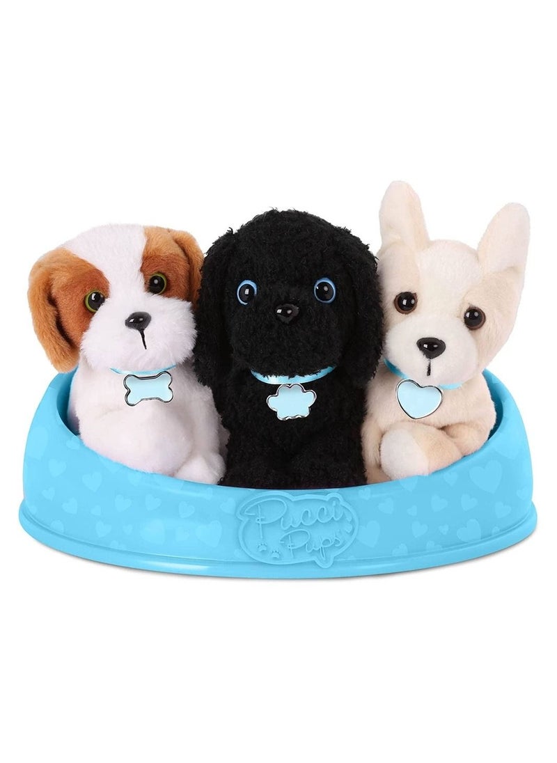 Adopt-A-Pucci Pup Shih Tzu, Chihuahua, Caniche - ST8386Z