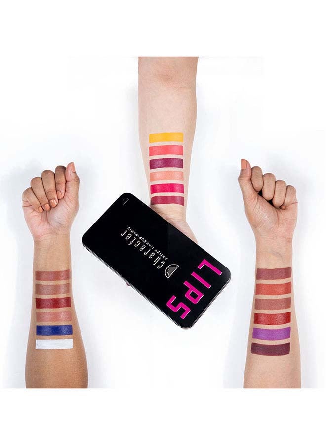 Character Pro Lipstick Palette C-A401 Multicolour - Image 3