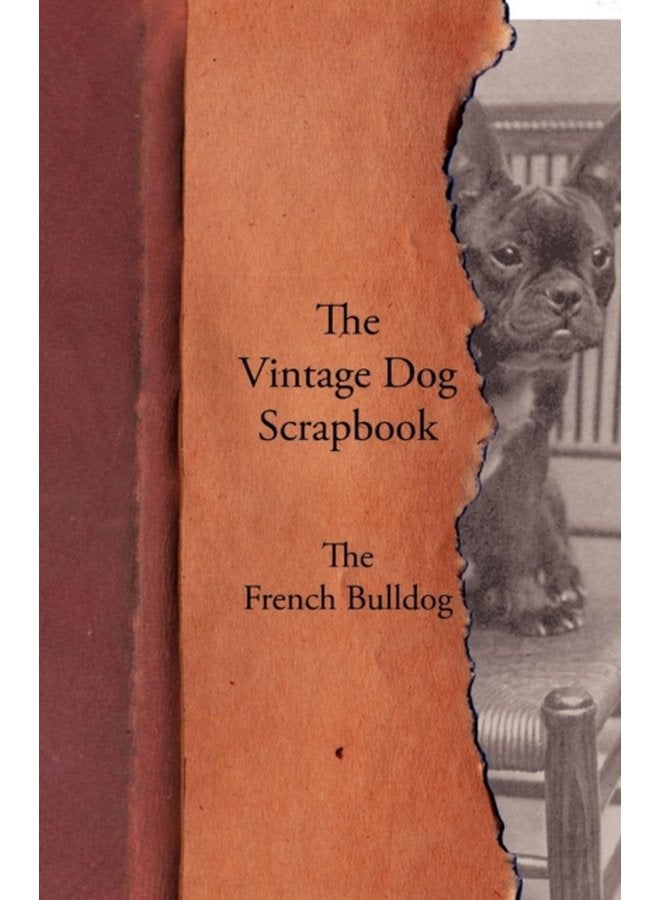 The Vintage Dog Scrapbook The French Bulldog - Paperback