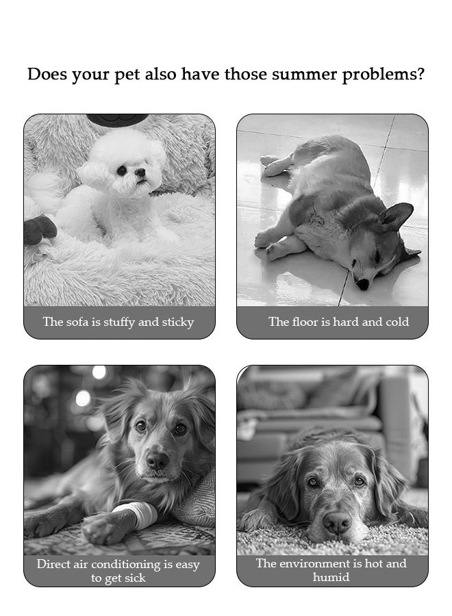 DUNISO سرير حيوانات أليفة للقطط، للكلاب الصغيرة والمتوسطة مع قاعدة غير قابلة للانزلاق، سرير أريكة قابل للغسل لجميع الفصول للحيوانات الأليفة في الداخل والخارج، للنوم في الهواء الطلق، جرو، قطة، حيوان أليف - Image 3