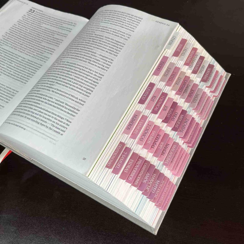thinkor Spanish Laminated Bible Tabs, pestaÃ±as para biblia en espaÃ±ol, Reposition Large Print Stickers, Easy to Read and Apply Bible Tabs for Women and Man (Spanish Pink) - Image 4