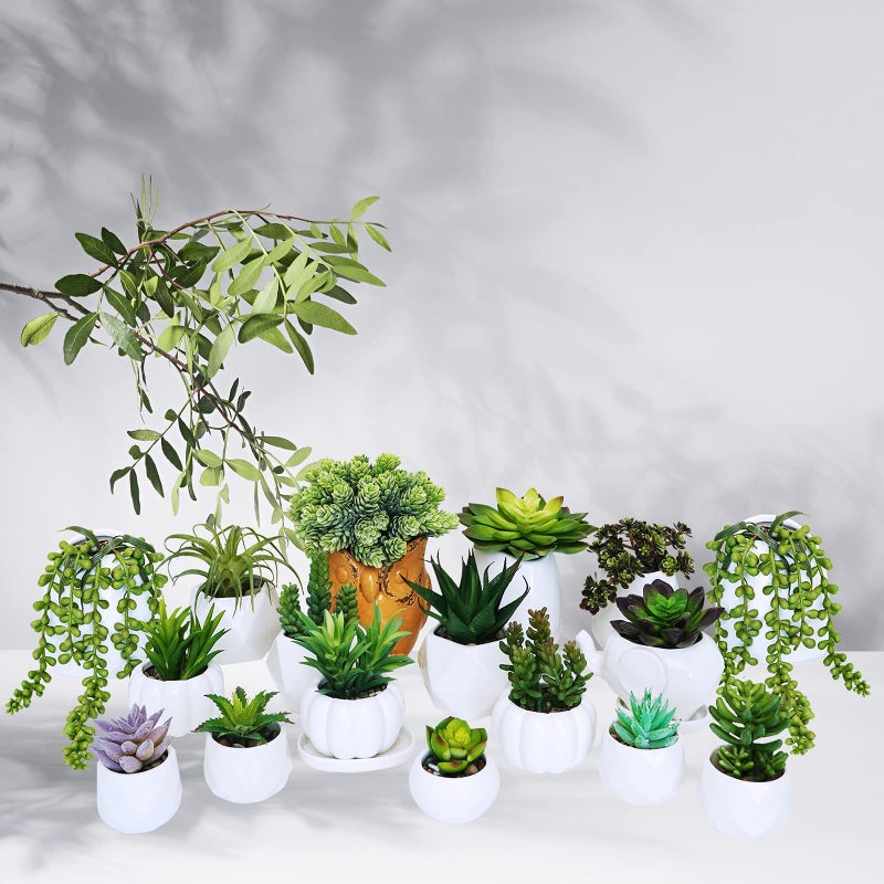 Winlyn Winlyn 19 Pcs Assorted Artificial Succulents Plants Unpotted Small Green Hanging Succulent Aloe Fake Cacti Succulents Bulk for Succulent Garden Centerpiece Wreath Arrangement Indoor Outdoor Home Decor  - Image 5