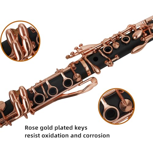 KAYATA B Flat Clarinet - Rose Gold Plated Student Clarinet with Reed, Cleaning Kit, Canvas Case - Image 3