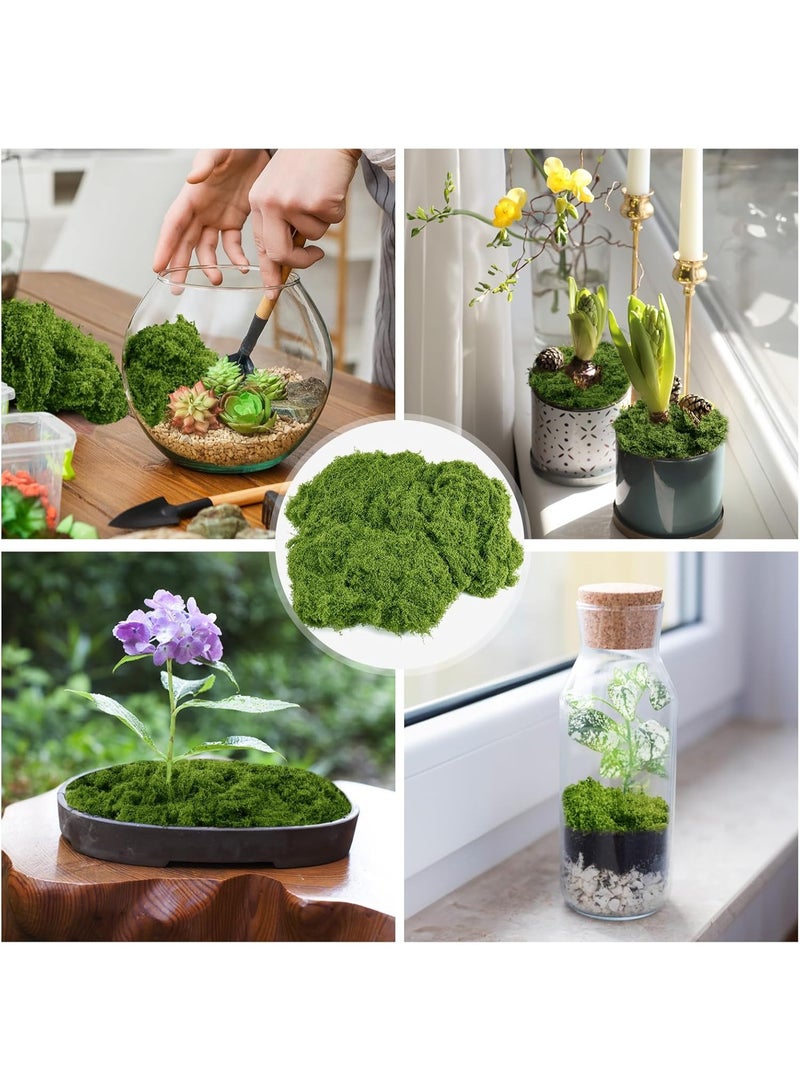 سونسر طحالب خضراء صناعية للنباتات الداخلية، 5.3 أونصة طحالب صناعية للحرف اليدوية محفوظة للديكور DIY طحالب زخرفية لتزيين الطاولات حديقة خرافية زفاف زهري (150 جرام، أخضر داكن) - Image 4