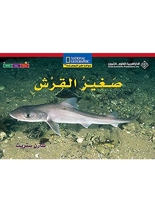 Saghir Al Qorch - The Baby Shark (Ar-En) 