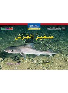 Saghir Al Qorch - The Baby Shark (Ar-En) 