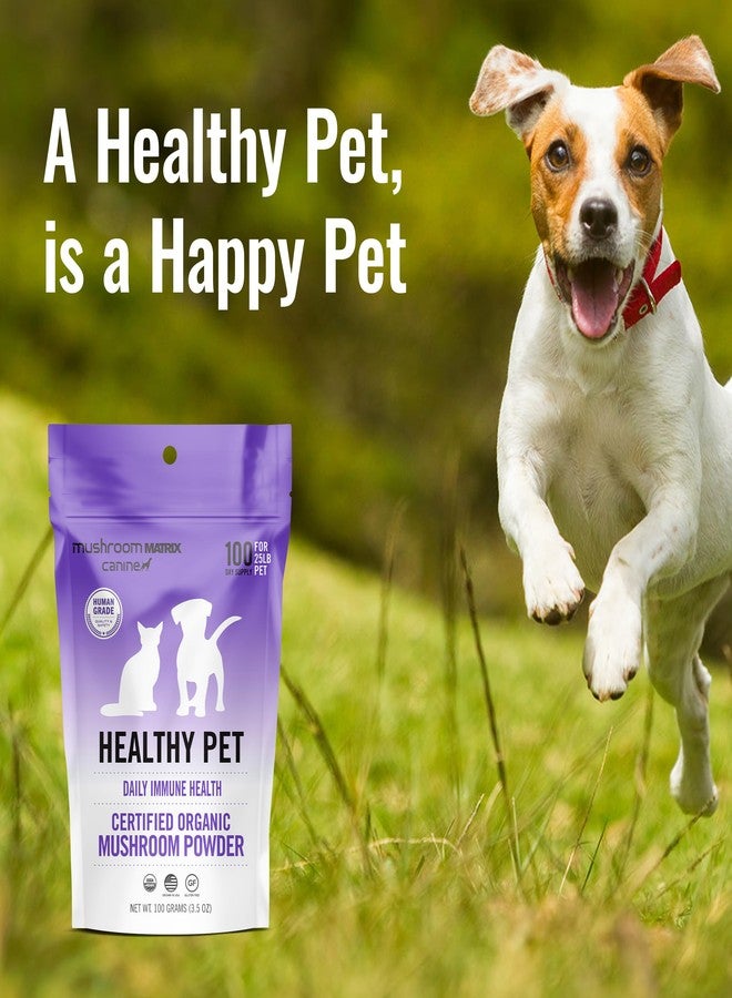 mushroom Matrix Om Mushroom Matrix Pet - Canine | Healthy Pet | USA Grown Human-Grade Organic Mushroom Powder Pet Supplement | Daily Functional Immune Support for Dogs & Cats | 100 Grams, 3.5 oz - Image 2