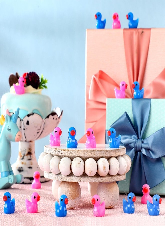 RoundFunny 100 Pcs Gender Reveal Party Favors Supplies Team He or Team She Mini Resin Ducks Pink Blue Gender Reveal Games Small Duck Figures for Ideas Party Supplies Decorations - Image 4