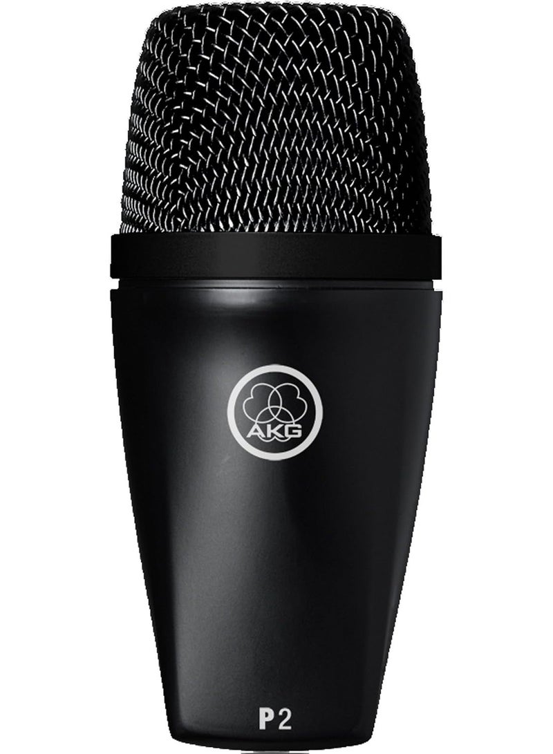 AKG P2 High-Performance Dynamic Bass Microphone, Black, Single - Image 1