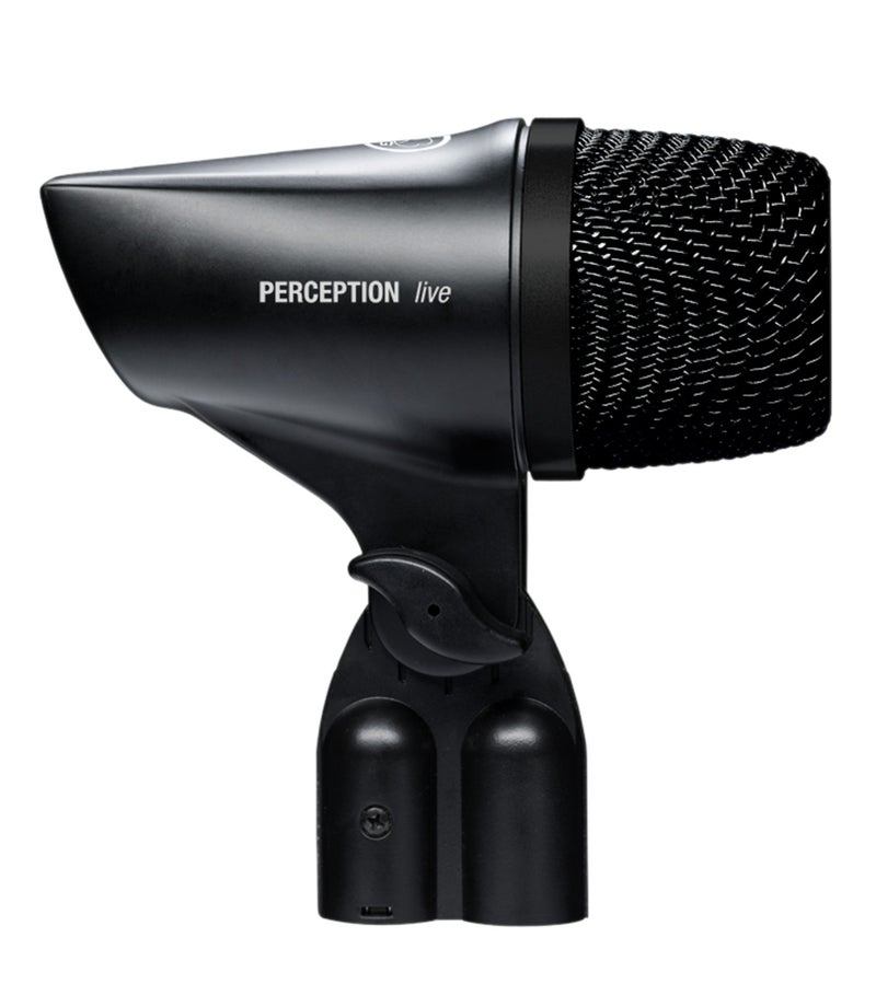 AKG P2 High-Performance Dynamic Bass Microphone, Black, Single - Image 3