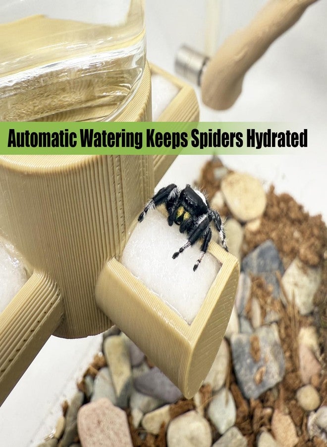 Daerky Jumping Spider Water Dispenser, Magnetic Hanging Feeder,Suitable for Jumping Spiders,Tarantulas, Praying Mantises,Arboreal Animals, and Other Small Animal Enclosure Accessories (Pink, 5ML) - Image 3