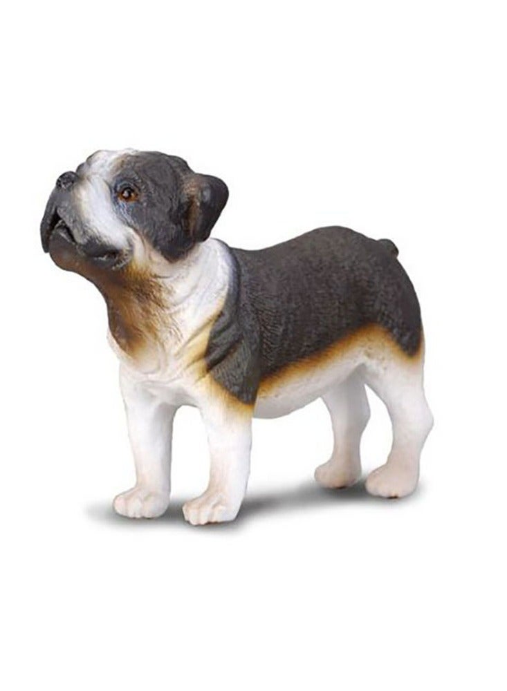 Collecta - Bull Dog - 88179 - Image 2