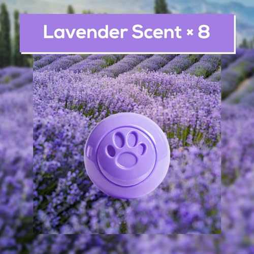 SCENTORINI Shoe Deodorizer Balls, 8 Pack Lavender Scent Sneaker Deodorizer Balls, Odor Eliminator for Smell Shoes Boots, Long Lasting Shoe Freshener for Gym Bags, Drawers and Small Spaces - Image 2