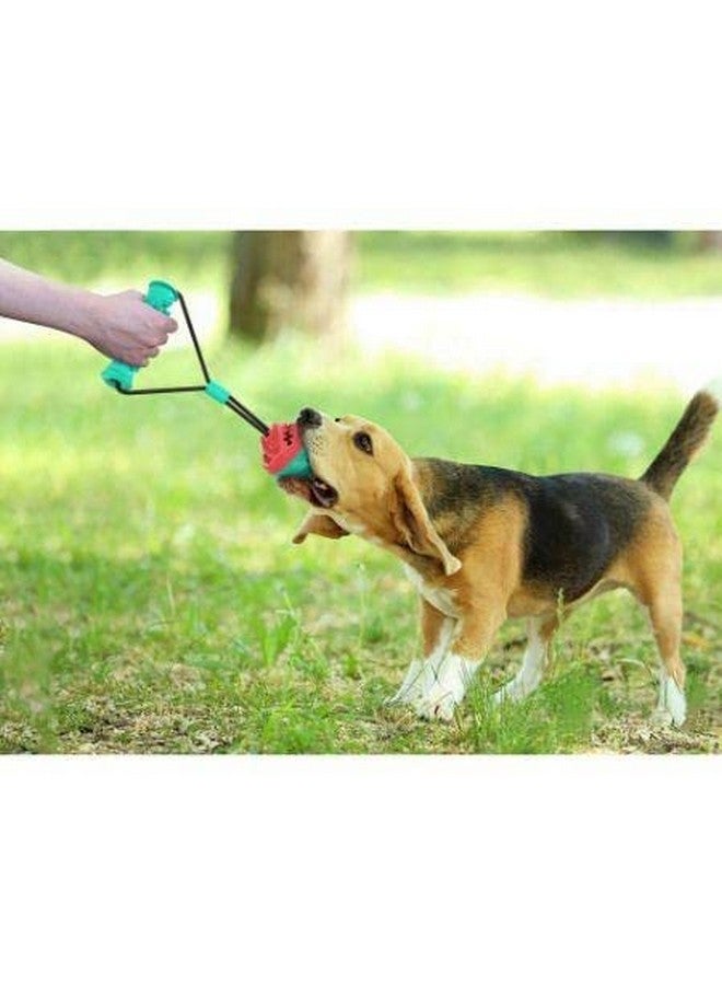 ألعاب شد الحبل للكلاب لمضغ الطعام بشكل عدواني وألعاب توزيع الطعام للكلاب والجراء - Image 3