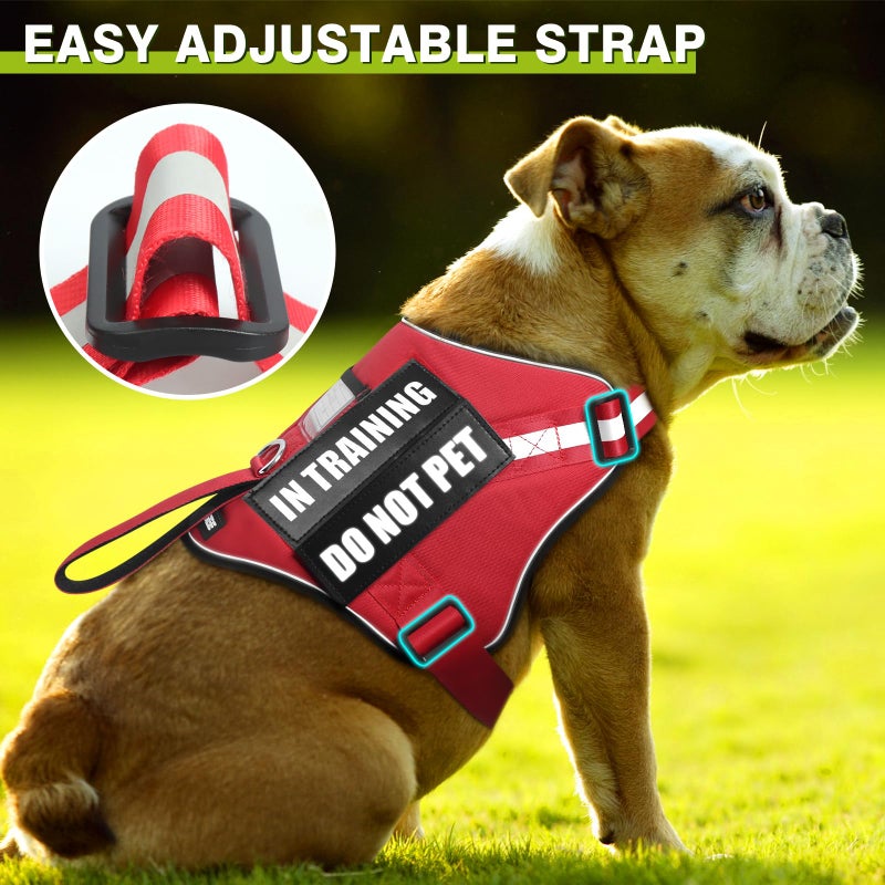 WINSEE Service Dog Harness and Leash Set, Training Dog Vest with 10 Dog Patches, Emotional Support Therapy Dog Vest Harness for Small Medium Large and Extra Large Dogs(Red, S) - Image 4