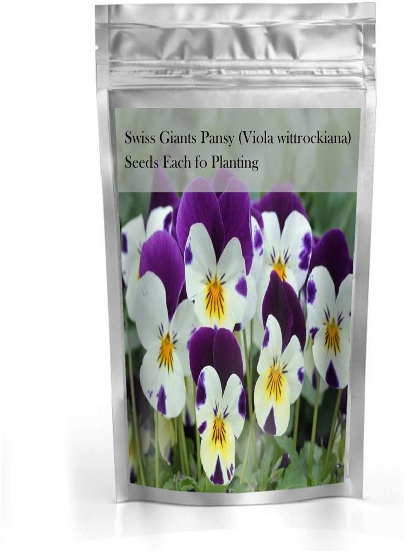 جي جوت زهرة البانسي (البنفسج ثلاثي الألوان) - ١٠٠ بذرة لتزيين حديقة المنزل - Image 3