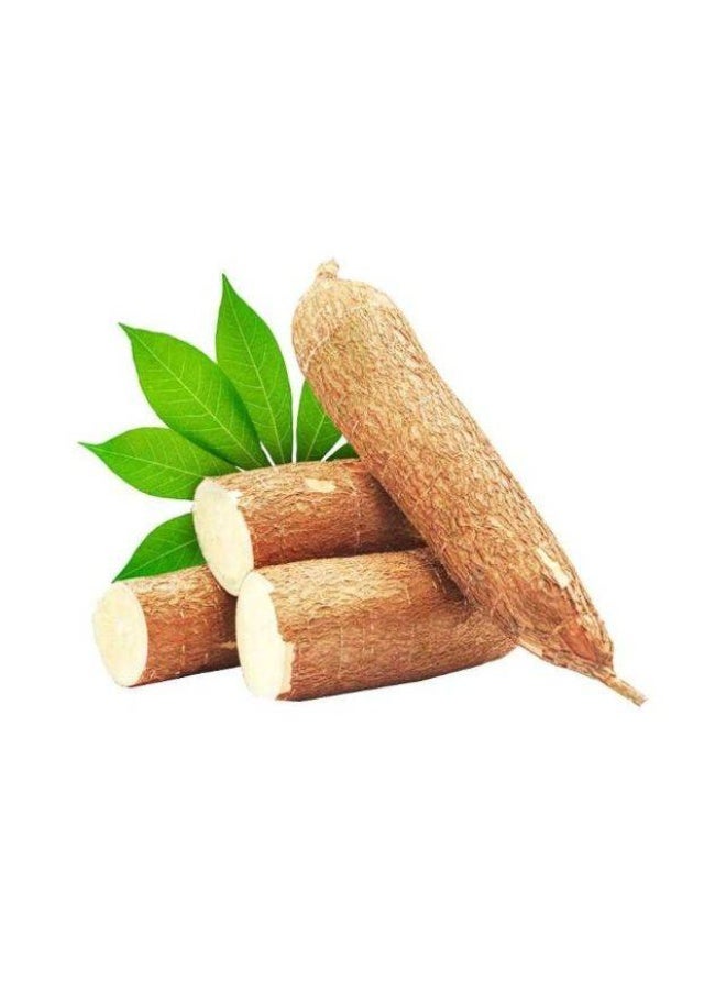 Tapioca , 3 to 4 Pieces, Sri Lanka