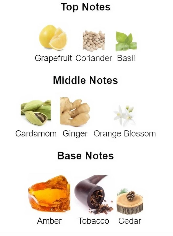 امبر ماتشو اونلي مان او دي بيرفيوم للرجال - 100مل - Image 4