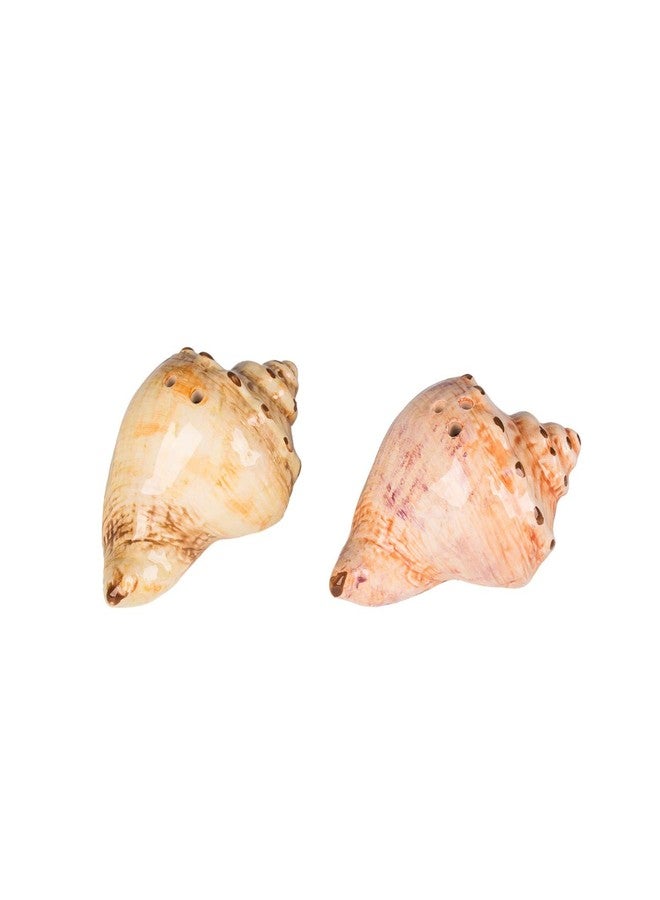 Beachcombers 2.8" Ceramic Conch Shell Salt/Pepper Set Of 2 Nautical Coastal Beach Home Kitchen Dining Dinner Table Tabletop Decor Decoration Orange - Image 2