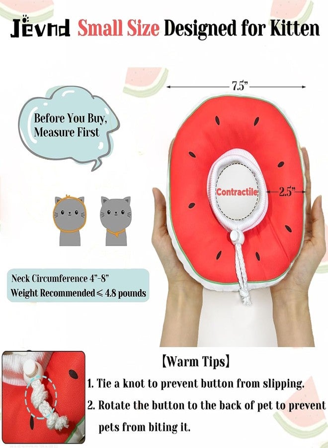 Jevnd cat Cone - Image 2