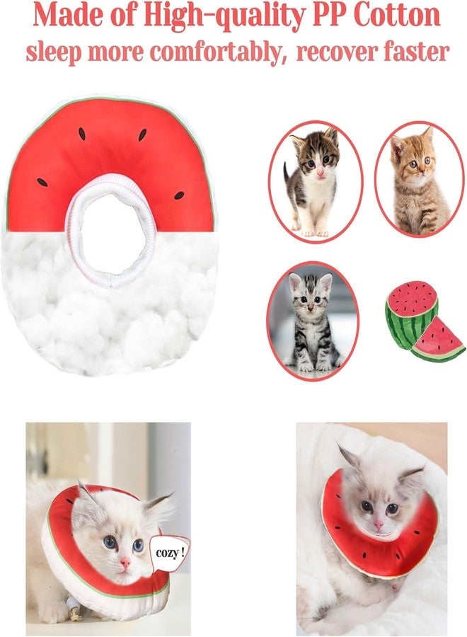 Jevnd cat Cone - Image 5
