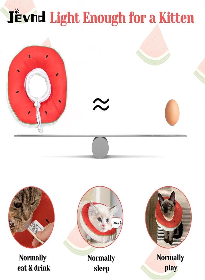 Jevnd cat Cone - Image 3