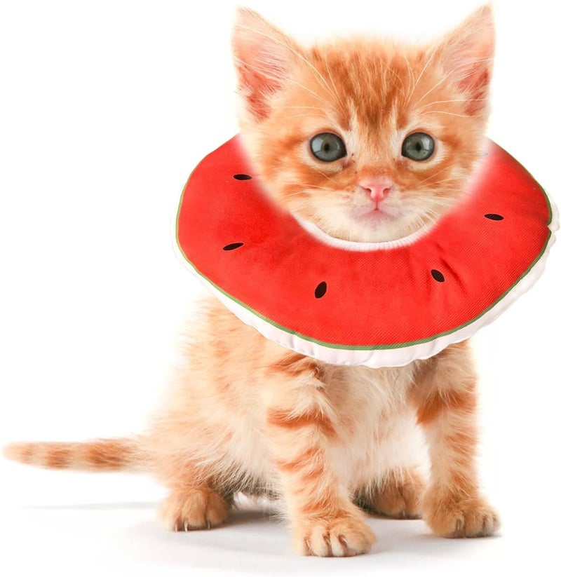 Jevnd cat Cone - Image 1