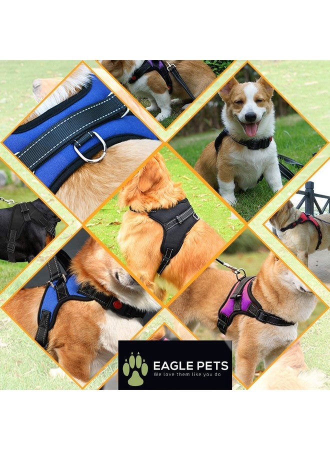 Eagle Pets No Pull Dog Harness, Breathable Adjustable Comfort, Free Leash Included, For Small Medium Large Dog, Best For Training Walking. (Red, Large) - Image 4