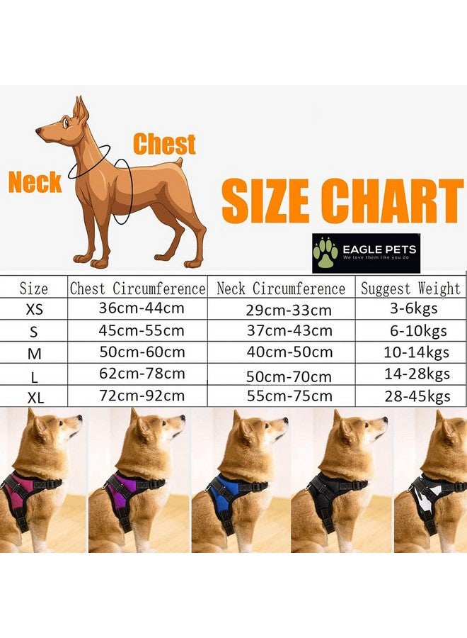 Eagle Pets No Pull Dog Harness, Breathable Adjustable Comfort, Free Leash Included, For Small Medium Large Dog, Best For Training Walking. (Red, Large) - Image 2
