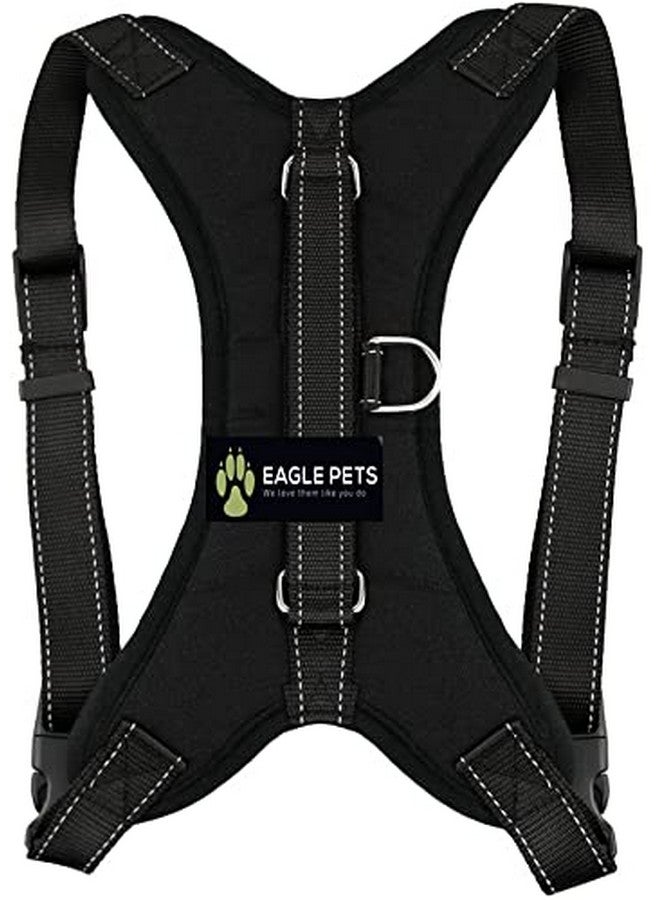 Eagle Pets No Pull Dog Harness, Breathable Adjustable Comfort, Free Leash Included, For Small Medium Large Dog, Best For Training Walking. (Red, Large) - Image 3