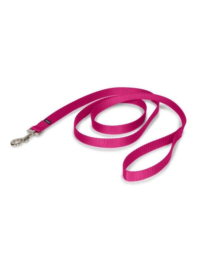 PetSafe Nylon Dog Leash - Strong, Durable, Traditional Style Leash with Easy to Use Bolt Snap - 3/4" x 4', Raspberry - Image 1
