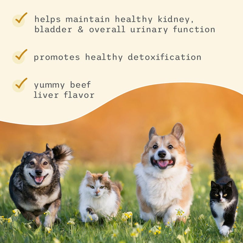 Dr. Mercola Bark & Whiskers Bladder Support, 3.17 Oz. (90 g), 90 Scoops, Supports Urinary Tract Health, with Cranbery & D-Mannose, Vet Formulated, Non-GMO, Dr. Mercola - Image 5